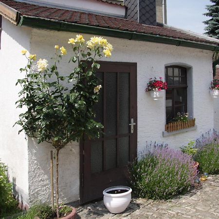 3 Seiten Ferienwohnung Jena Exterior foto