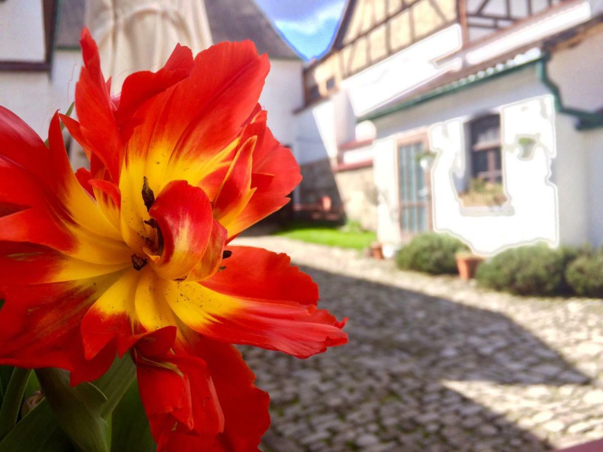 3 Seiten Ferienwohnung Jena Exterior foto